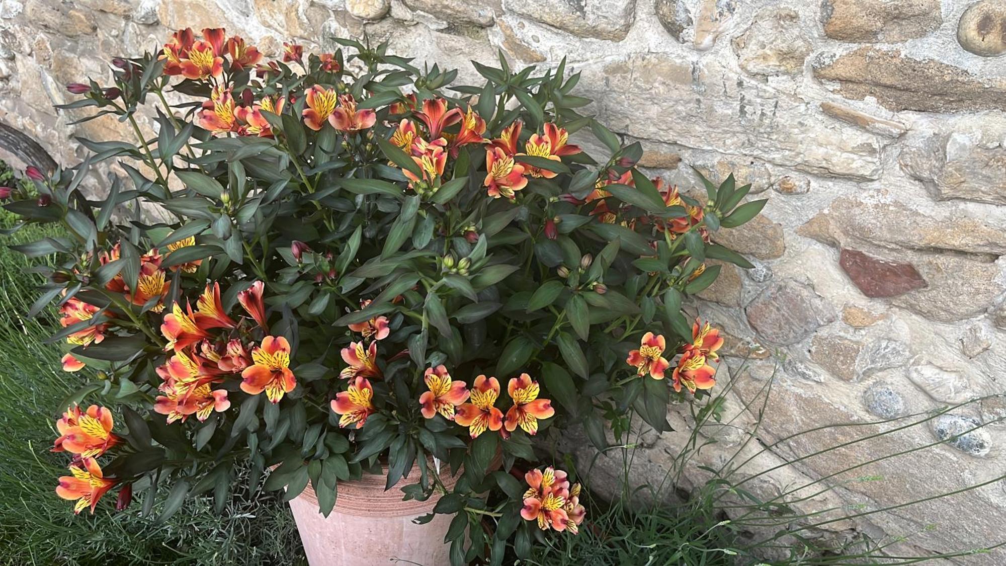 Maison En Provence Lapalud ภายนอก รูปภาพ